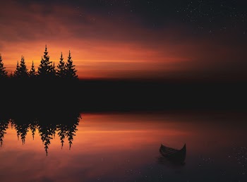 Silhouette Photography of Trees