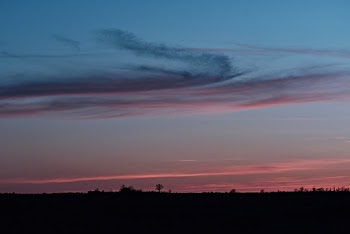 Silhouette Photography of Trees and Clouds