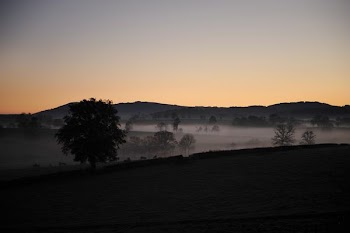 silhouette photography of trees and mountain