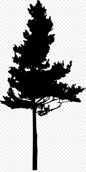 Silhouette Pine Clip art - silhouette of tree 