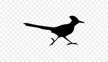 Silhouette, Roadrunner, Wile E Coyote And The Road Runner, Bird, Beak PNG