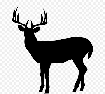 Silhouette, Roe Deer, Elk, Reindeer, Mammal PNG