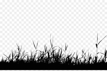 Silhouette Royalty-free Photography Clip art - Disorderly grass 