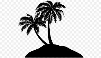 Silhouette, Stock Photography, Royaltyfree, Tree, Palm Tree PNG