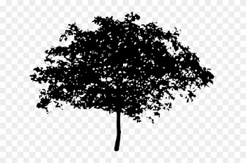 Silhouette Tree, Bush, Nature, Leaves, Trunk, Silhouette - Voice Of The Children In The Apple Tree