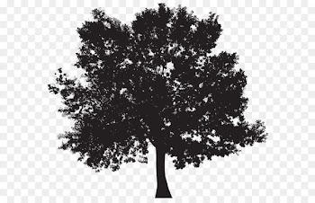 Silhouette Tree Clip art - Tree Silhouette PNG Clip Art 