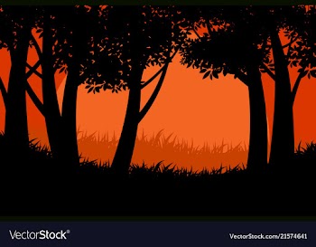 Silhouette tree forest vector image