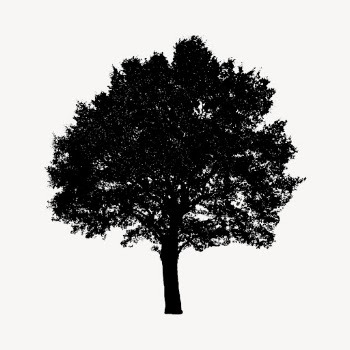 Silhouette tree isolated on white, | Free Photo - rawpixel