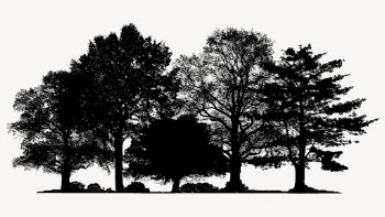 Silhouette tree isolated on white, | Free Photo - rawpixel
