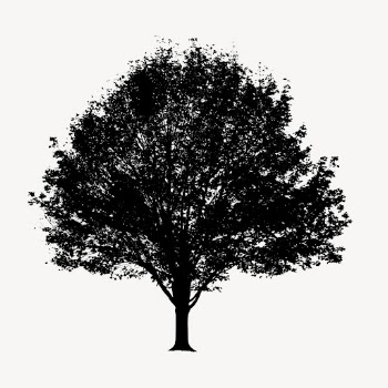 Silhouette tree isolated on white, | Free PSD - rawpixel