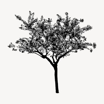 Silhouette tree isolated on white, | Free PSD - rawpixel