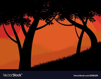 Silhouette trees forest scene vector image