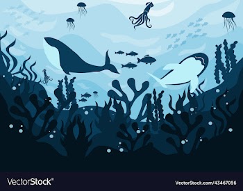 silhouette undersea