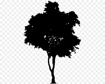 Silhouette Vector graphics Portable Network Graphics Clip art Tree -  