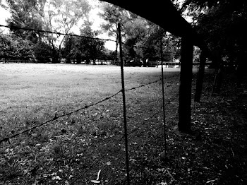 Silhouette View of Fence