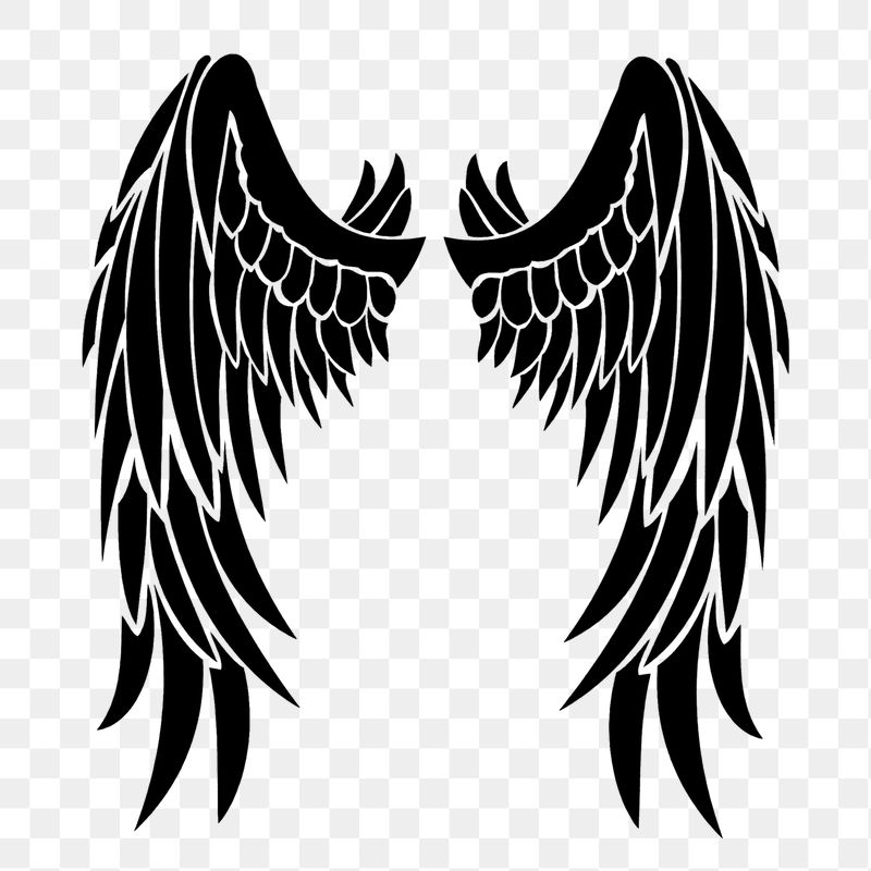Silhouette wings png sticker, transparent | Free PNG - rawpixel