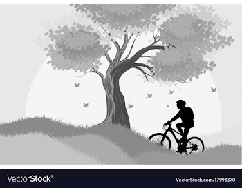 Silhouette woman cycling outdoor scene vector image