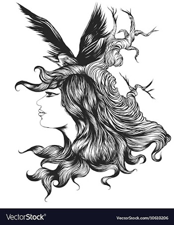 Silhouette woman with crow vector image