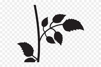 Silhouettes Clipart Flower - Rose Black &amp; White Png
