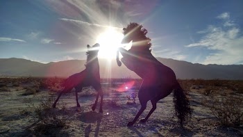 Silhouettes of 2 Horse Near Mountain during Daytime