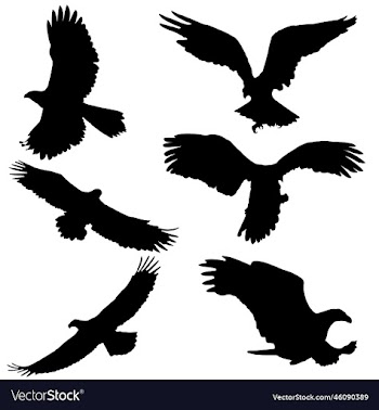 silhouettes of eagle eagle silhouette set
