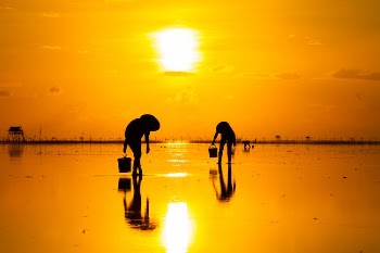 Silhouettes of Fishermen at Golden Sunrise