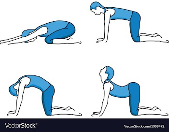 Silhouettes of girl stretching and exercise vector image