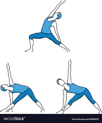 Silhouettes of girl stretching and exercise vector image