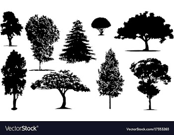Silhouettes of trees vector image