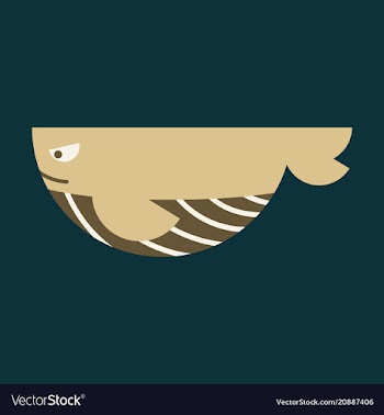 Silhouettes of whale cachalot sea animals vector image