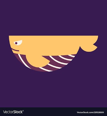 Silhouettes of whale cachalot sea animals vector image