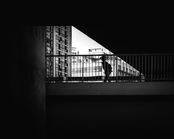 Silhoutte Photo of a Person