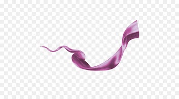 Silkie Ribbon - ribbon 