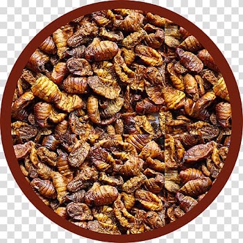 Silkworm Koivoershop.nl Snack Musashi Sushi, Silkworm transparent background PNG clipart