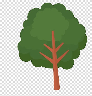 Silver birch Tree Euclidean Resource, tree transparent background PNG clipart