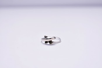 Silver-colored Ring