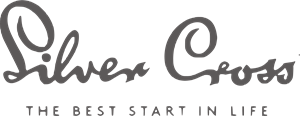 Silver cross Logo Vector