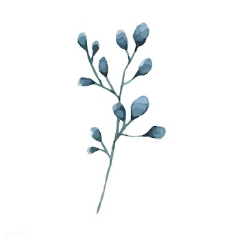 Silver dollar eucalyptus leaves painted in wa.. | Free stock vector - 489150