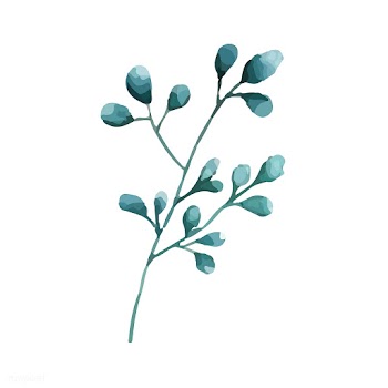 Silver dollar eucalyptus leaves painted in wa.. | Free stock vector - 489202