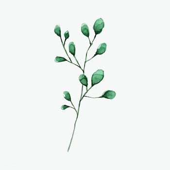Silver dollar eucalyptus leaves painted in wa.. | Free stock vector - 489300