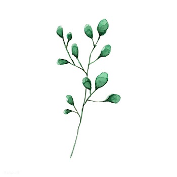 Silver dollar eucalyptus leaves painted in wa.. | Free stock vector - 489320