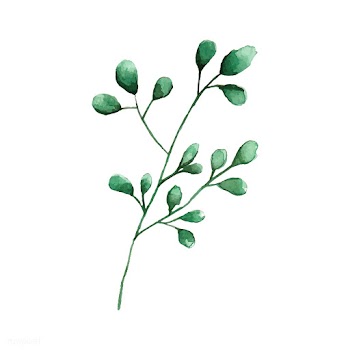 Silver dollar eucalyptus leaves painted in wa.. | Free stock vector - 489363