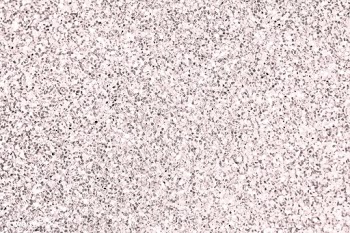Silver glitter background | Free stock vector - 915568