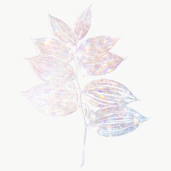 Silver holographic Solomon's seal branch design element | Free  transparent png - 2346948