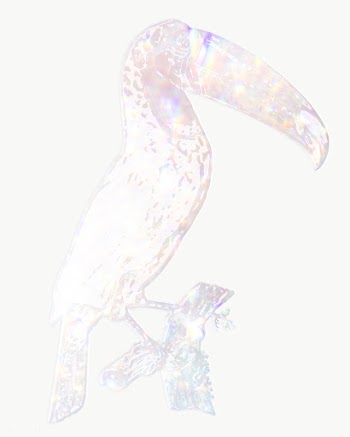 Silver holographic Toco toucan bird design element | Free  transparent png - 2347121
