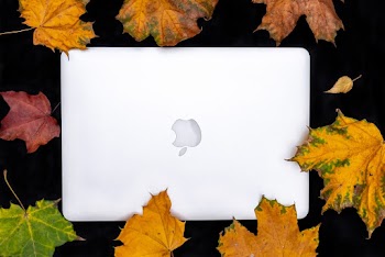Silver Macbook Surrounded by Dry Leaves