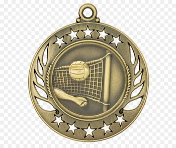 Silver medal Award Trophy Bronze medal - medal 