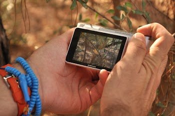 Silver Samsung Point and Shoot Camera