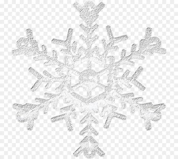 Silver Snowflake Icon - Silver Snowflake 