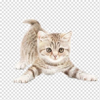 Silver tabby kitten, Cat Watercolor painting Drawing , Cat transparent background PNG clipart